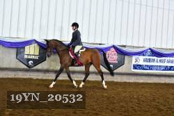 19YN_20532 thumbnail