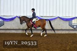 19YN_20533 thumbnail