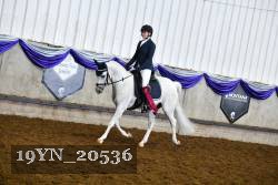 19YN_20536 thumbnail