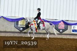 19YN_20539 thumbnail