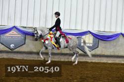 19YN_20540 thumbnail