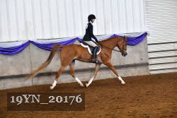 19YN_20176 thumbnail