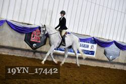 19YN_17442 thumbnail