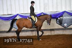 19YN_17741 thumbnail