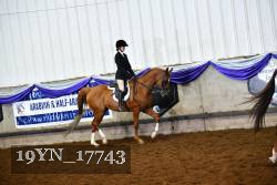 19YN_17743 thumbnail