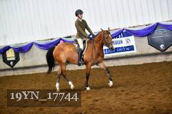 19YN_17744 thumbnail