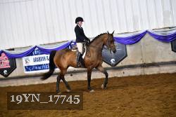 19YN_17745 thumbnail