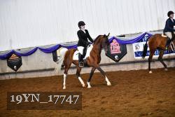 19YN_17747 thumbnail