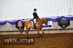 19YN_17748 thumbnail