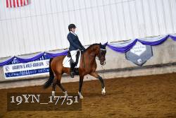 19YN_17751 thumbnail