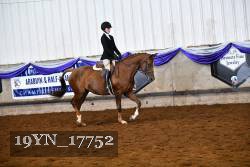 19YN_17752 thumbnail