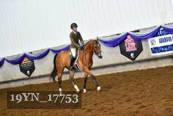 19YN_17753 thumbnail