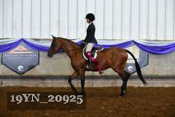19YN_20925 thumbnail