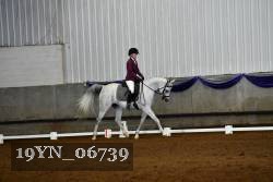 19YN_06739 thumbnail