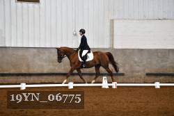 19YN_06775 thumbnail