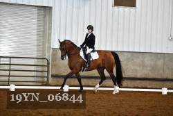 19YN_06844 thumbnail