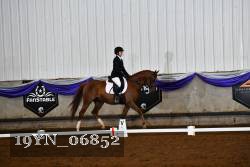 19YN_06852 thumbnail