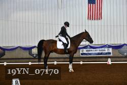 19YN_07170 thumbnail