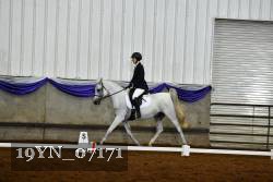 19YN_07171 thumbnail
