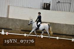 19YN_07176 thumbnail