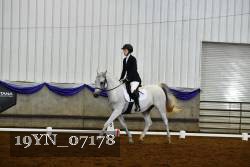 19YN_07178 thumbnail