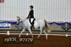 19YN_07179 thumbnail