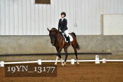 19YN_13177 thumbnail
