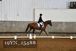 19YN_15488 thumbnail