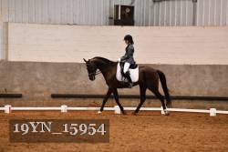 19YN_15954 thumbnail