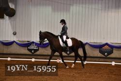19YN_15955 thumbnail