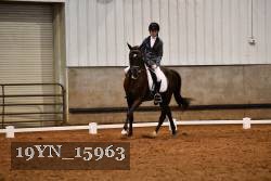 19YN_15963 thumbnail