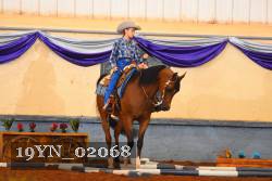 19YN_02068 thumbnail