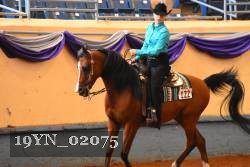 19YN_02075 thumbnail