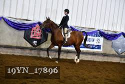 19YN_17896 thumbnail