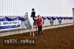 19YN_19844 thumbnail
