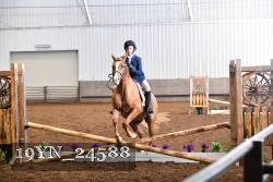 19YN_24588 thumbnail