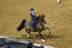 19YN_23471 thumbnail