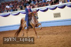 19YN_14044 thumbnail
