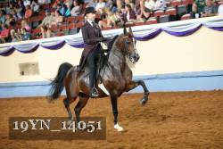 19YN_14051 thumbnail