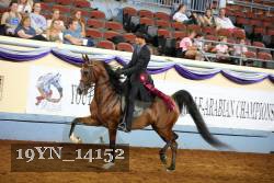 19YN_14152 thumbnail