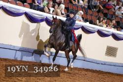 19YN_34926 thumbnail