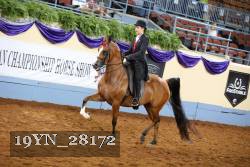 19YN_28172 thumbnail