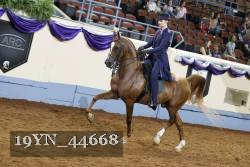 19YN_44668 thumbnail