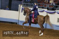 19YN_44814 thumbnail