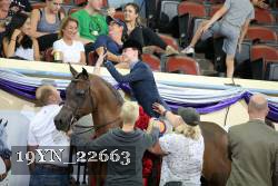 19YN_22663 thumbnail