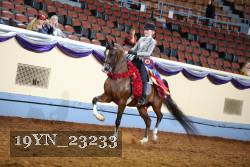 19YN_23233 thumbnail