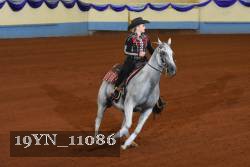 19YN_11086 thumbnail