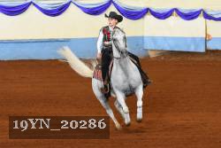 19YN_20286 thumbnail