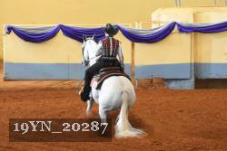 19YN_20287 thumbnail
