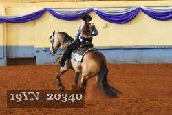 19YN_20340 thumbnail
